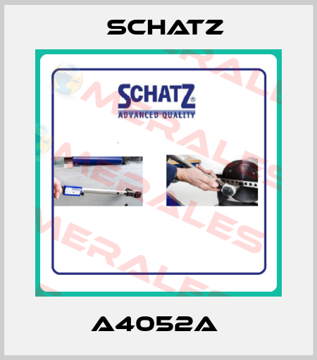 A4052A  Schatz