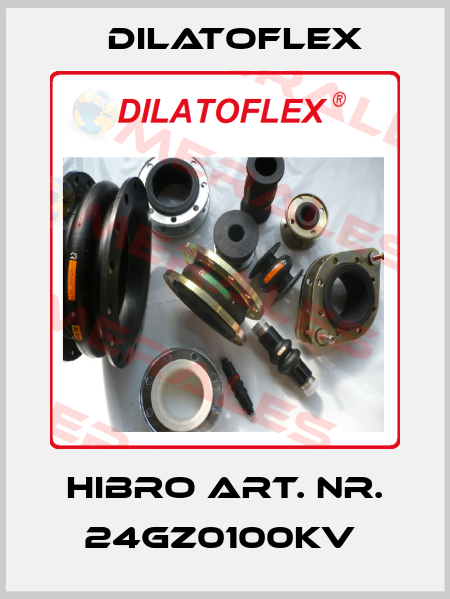 Hibro Art. Nr. 24GZ0100KV  DILATOFLEX