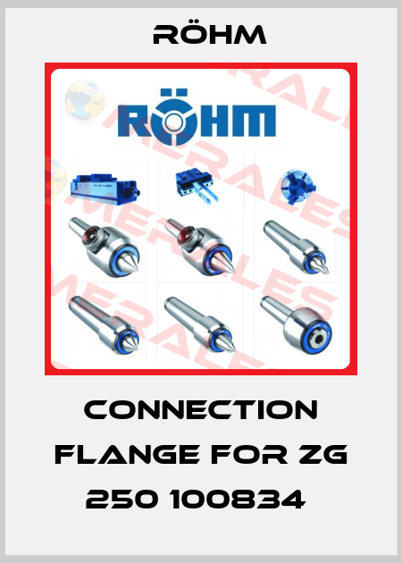 Connection flange for ZG 250 100834  Röhm
