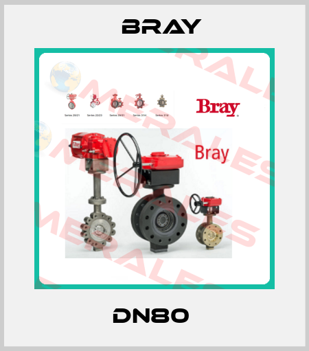 DN80  Bray
