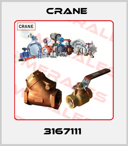 3167111  Crane