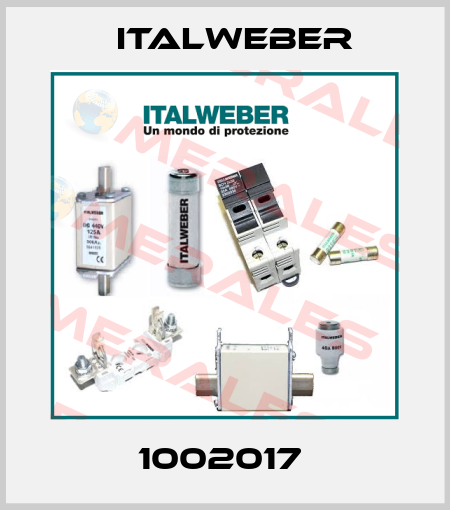 1002017  Italweber