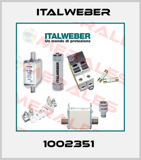 1002351  Italweber