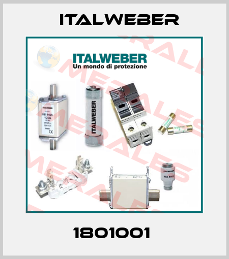 1801001  Italweber