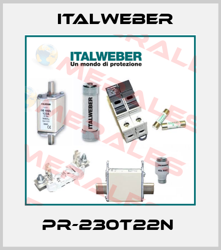PR-230T22N  Italweber
