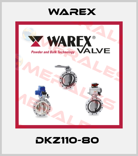 DKZ110-80  Warex
