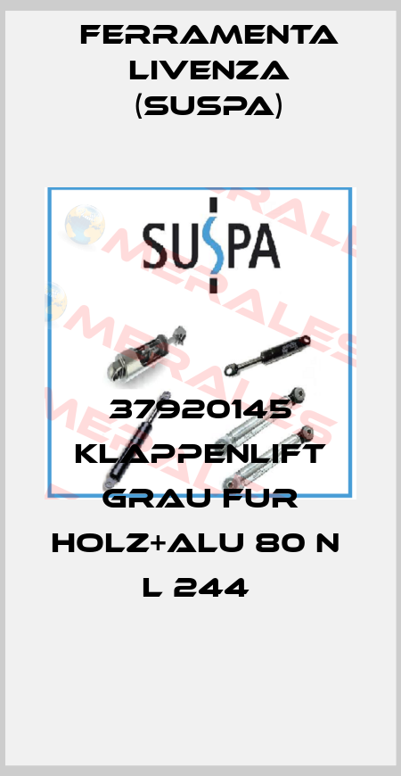 37920145 KLAPPENLIFT GRAU FUR HOLZ+ALU 80 N  L 244  Ferramenta Livenza (Suspa)