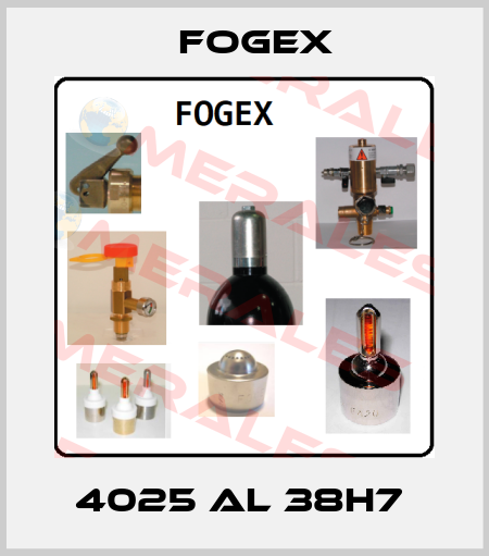 4025 AL 38H7  Fogex