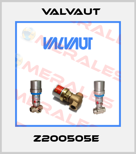 Z200505E  Valvaut