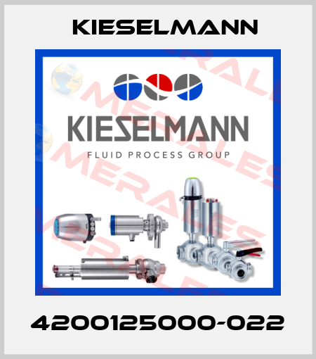 4200125000-022 Kieselmann