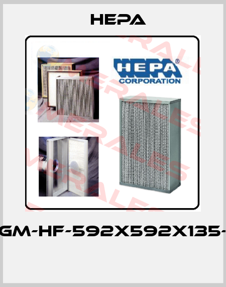 3GGM-HF-592x592x135-95  HEPA