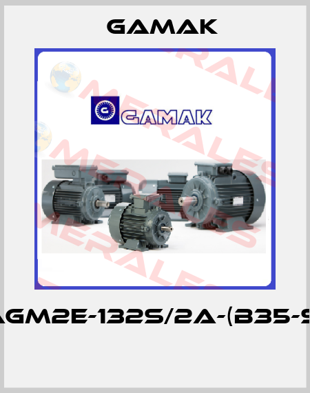 AGM2E-132S/2a-(B35-S)  Gamak