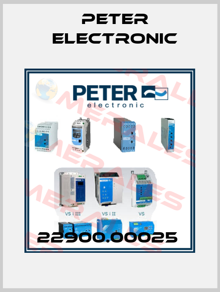 22900.00025  Peter Electronic