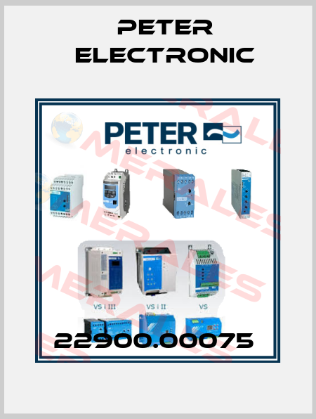 22900.00075  Peter Electronic