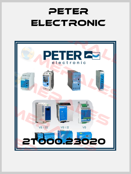 2T000.23020  Peter Electronic