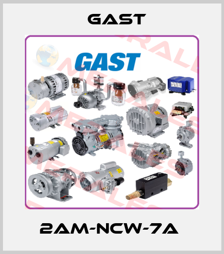 2AM-NCW-7A  Gast