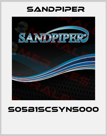 S05B1SCSYNS000  Sandpiper