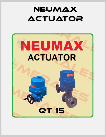 QT 15  Neumax Actuator
