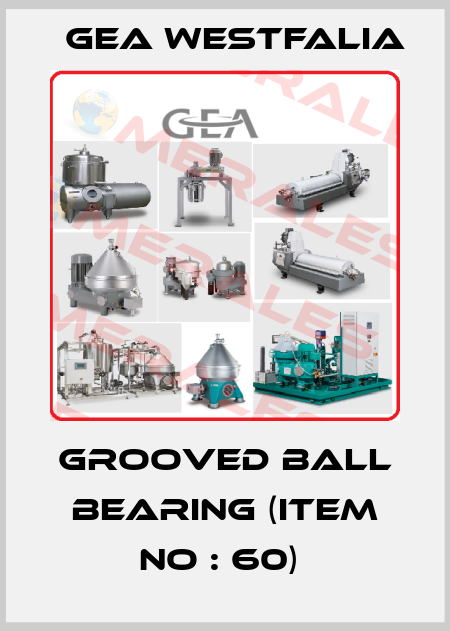 Grooved ball bearing (item no : 60)  Gea Westfalia