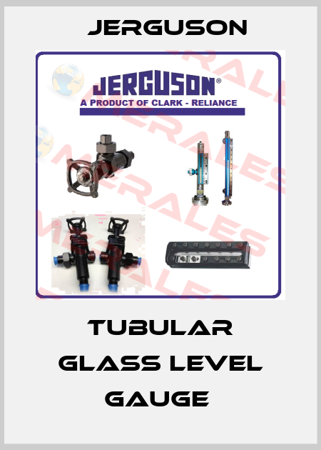 Tubular Glass Level Gauge  Jerguson