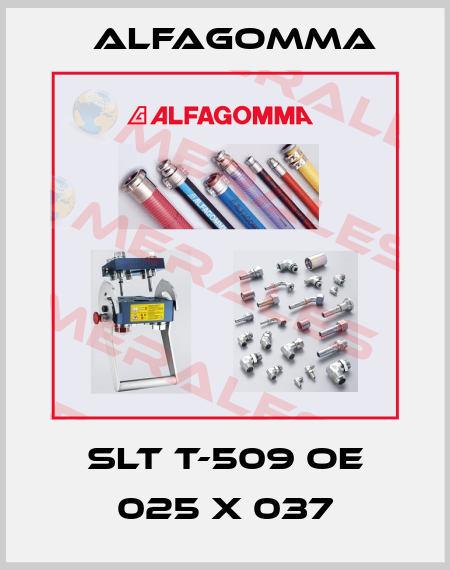 SLT T-509 OE 025 X 037 Alfagomma