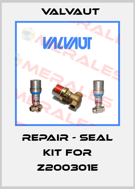 Repair - seal kit for Z200301E Valvaut