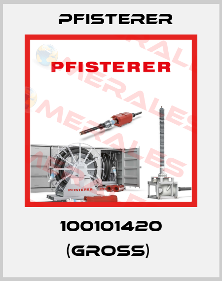 100101420 (GROSS)  Pfisterer