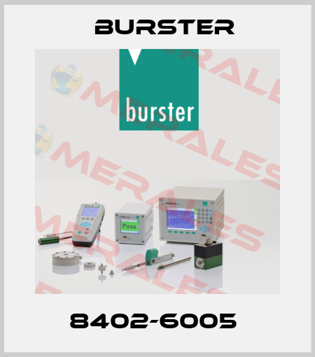 8402-6005  Burster