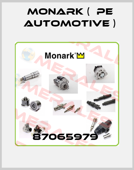 87065979  Monark (  PE Automotive )