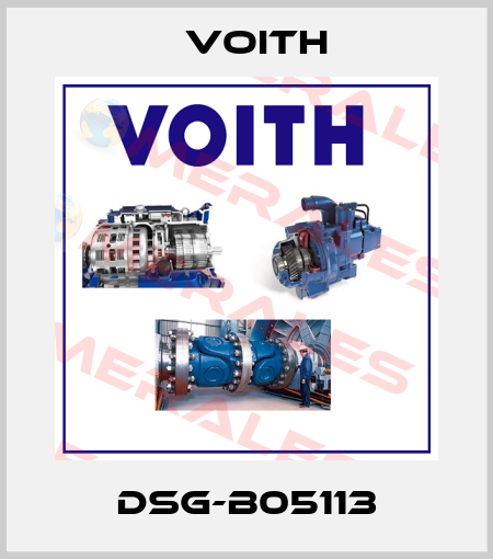 DSG-B05113 Voith