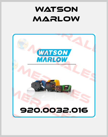 920.0032.016 Watson Marlow