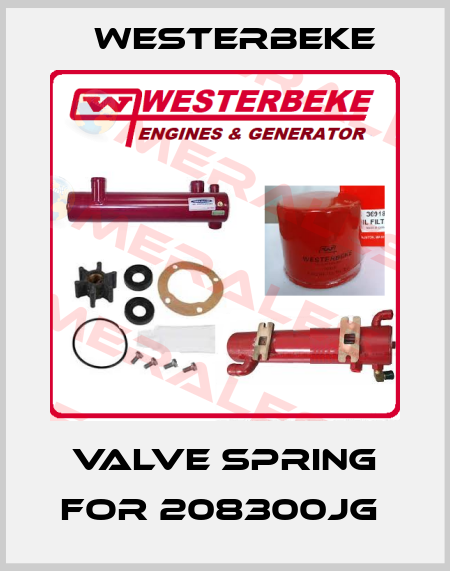 Valve spring for 208300JG  Westerbeke