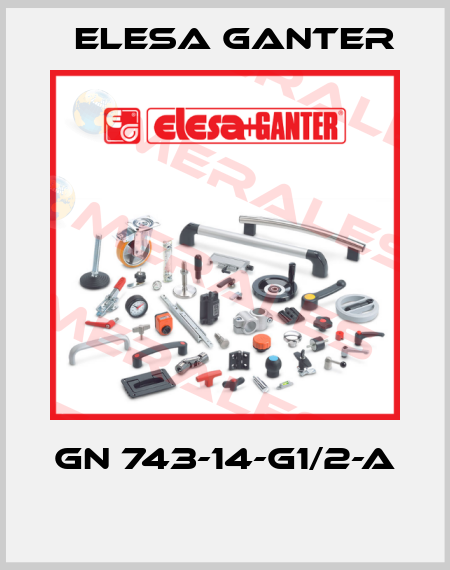 GN 743-14-G1/2-A  Elesa Ganter