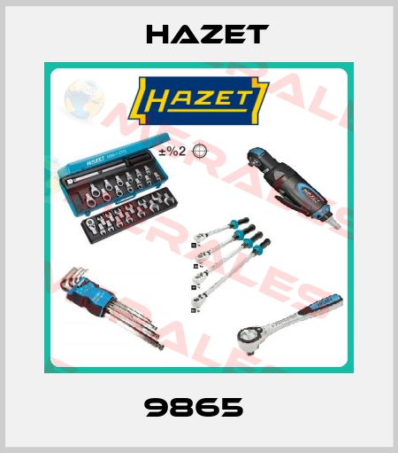 9865  Hazet