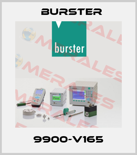 9900-V165 Burster