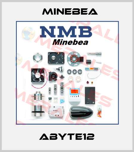 ABYTE12 Minebea