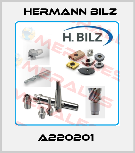 A220201  Hermann Bilz