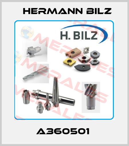 A360501  Hermann Bilz