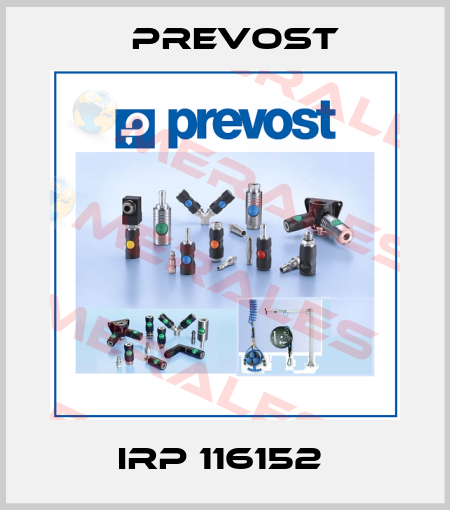 IRP 116152  Prevost