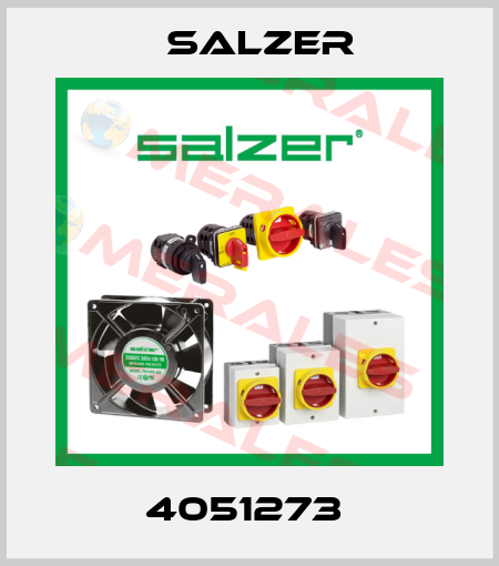 4051273  Salzer