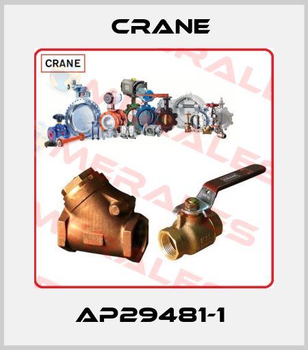 AP29481-1  Crane