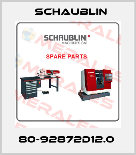 80-92872D12.0  Schaublin