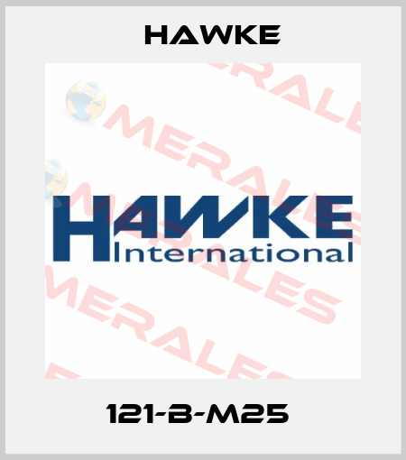 121-B-M25  Hawke