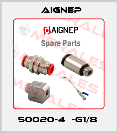 50020-4  -G1/8  Aignep