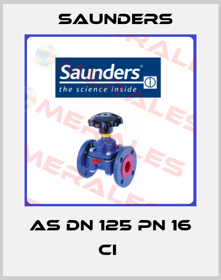 AS DN 125 PN 16 CI  Saunders