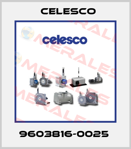 9603816-0025  Celesco