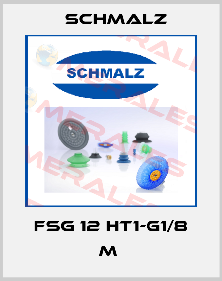 FSG 12 HT1-G1/8 M  Schmalz