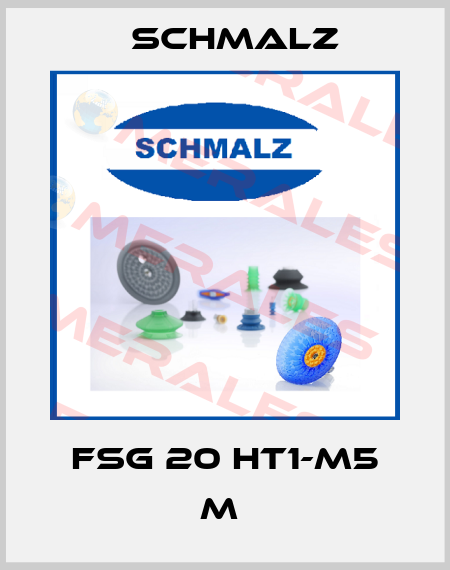 FSG 20 HT1-M5 M  Schmalz