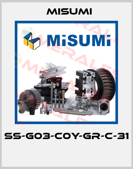 SS-G03-C0Y-GR-C-31  Misumi