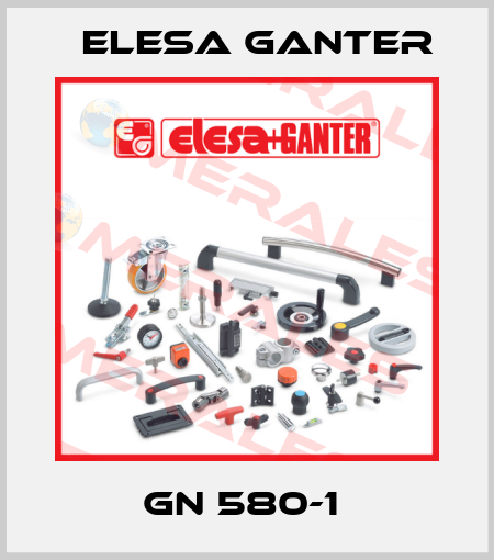 GN 580-1  Elesa Ganter